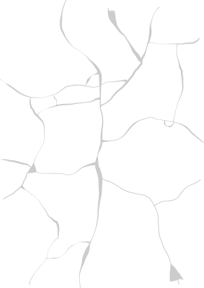 Wirewalls